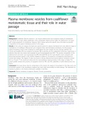 Plasma membrane vesicles from cauliflower meristematic tissue and their role in water passage