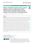 Pitchers of Nepenthes khasiana express several digestive-enzyme encoding genes, harbor mostly fungi and probably evolved through changes in the expression of leaf polarity genes