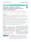 Phenotypic and genetic variation in phosphorus-deficiency-tolerance traits in Chinese wheat landraces