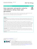 Gene expression and genetic control to cold tolerance during maize seed germination