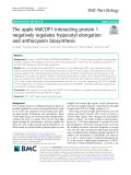 The apple MdCOP1-interacting protein 1 negatively regulates hypocotyl elongation and anthocyanin biosynthesis