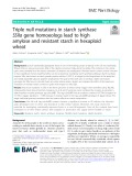 Triple null mutations in starch synthase SSIIa gene homoeologs lead to high amylose and resistant starch in hexaploid wheat