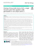 Cloning of long sterile lemma (lsl2), a single recessive gene that regulates spike germination in rice (Oryza sativa L.)