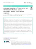 Comparative analyses of DNA repeats and identification of a novel Fesreba centromeric element in fescues and ryegrasses