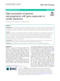 Tight association of genome rearrangements with gene expression in conifer plastomes
