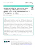 Construction of a high-density SNP-based genetic map and identification of fruitrelated QTLs and candidate genes in peach [Prunus persica (L.) Batsch]