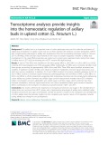 Transcriptome analyses provide insights into the homeostatic regulation of axillary buds in upland cotton (G. hirsutum L.)