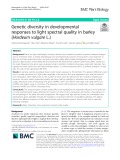 Genetic diversity in developmental responses to light spectral quality in barley (Hordeum vulgare L.)