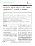 Involvement of plant endogenous ABA in Bacillus megaterium PGPR activity in tomato plants