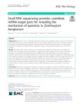 Small RNA sequencing provides candidate miRNA-target pairs for revealing the mechanism of apomixis in Zanthoxylum bungeanum