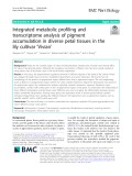 Integrated metabolic profiling and transcriptome analysis of pigment accumulation in diverse petal tissues in the lily cultivar ‘Vivian’