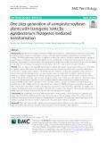 One-step generation of composite soybean plants with transgenic roots by Agrobacterium rhizogenes-mediated transformation