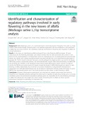 Identification and characterization of regulatory pathways involved in early flowering in the new leaves of alfalfa (Medicago sativa L.) by transcriptome analysis