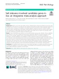 Salt tolerance involved candidate genes in rice: An integrative meta-analysis approach