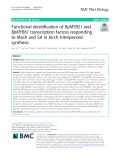 Functional identification of BpMYB21 and BpMYB61 transcription factors responding to MeJA and SA in birch triterpenoid synthesis