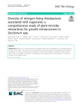 Diversity of nitrogen-fixing rhizobacteria associated with sugarcane: A comprehensive study of plant-microbe interactions for growth enhancement in Saccharum spp.