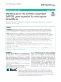 Identification of the Eutrema salsugineum EsMYB90 gene important for anthocyanin biosynthesis
