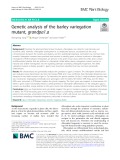 Genetic analysis of the barley variegation mutant, grandpa1.a
