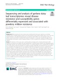 Sequencing and analysis of gerbera daisy leaf transcriptomes reveal disease resistance and susceptibility genes differentially expressed and associated with powdery mildew resistance