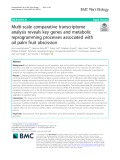 Multi-scale comparative transcriptome analysis reveals key genes and metabolic reprogramming processes associated with oil palm fruit abscission