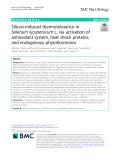 Silicon-induced thermotolerance in Solanum lycopersicum L. via activation of antioxidant system, heat shock proteins, and endogenous phytohormones