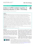 Analysis of miRNA-mediated regulation of flowering induction in Lilium × formolongi