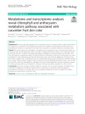 Metabolome and transcriptome analyses reveal chlorophyll and anthocyanin metabolism pathway associated with cucumber fruit skin color