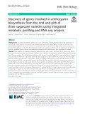Discovery of genes involved in anthocyanin biosynthesis from the rind and pith of three sugarcane varieties using integrated metabolic profiling and RNA-seq analysis