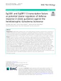 EgJUB1 and EgERF113 transcription factors as potential master regulators of defense response in Elaeis guineensis against the hemibiotrophic Ganoderma boninense
