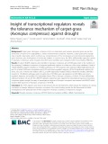 Insight of transcriptional regulators reveals the tolerance mechanism of carpet-grass (Axonopus compressus) against drought