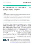 The NAC side of the fruit: Tuning of fruit development and maturation