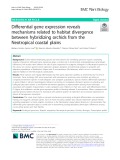 Differential gene expression reveals mechanisms related to habitat divergence between hybridizing orchids from the Neotropical coastal plains