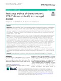 Resistance analysis of cherry rootstock ‘CDR-1’ (Prunus mahaleb) to crown gall disease
