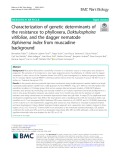 Characterization of genetic determinants of the resistance to phylloxera, Daktulosphaira vitifoliae, and the dagger nematode Xiphinema index from muscadine background