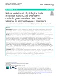 Natural variation of physiological traits, molecular markers, and chlorophyll catabolic genes associated with heat tolerance in perennial ryegrass accessions