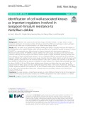 Identification of cell wall-associated kinases as important regulators involved in Gossypium hirsutum resistance to Verticillium dahliae