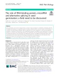 The role of RNA-binding protein, microRNA and alternative splicing in seed germination: A field need to be discovered