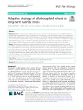 Adaptive strategy of allohexaploid wheat to long-term salinity stress