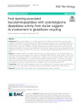 Fruit ripening-associated leucylaminopeptidase with cysteinylglycine dipeptidase activity from durian suggests its involvement in glutathione recycling