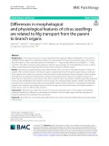 Diferences in morphological and physiological features of citrus seedlings are related to Mg transport from the parent to branch organs