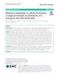 Molecular adaptation to salinity fluctuation in tropical intertidal environments of a mangrove tree Sonneratia alba
