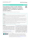 Transcriptome analysis reveals ethylenemediated defense responses to Fusarium oxysporum f. sp. cucumerinum infection in Cucumis sativus L.