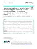 Selection and validation of reference genes for measuring gene expression in Toona ciliata under different experimental conditions by quantitative real-time PCR analysis