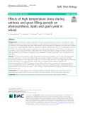 Effects of high temperature stress during anthesis and grain filling periods on photosynthesis, lipids and grain yield in wheat