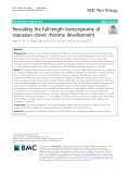 Revealing the full-length transcriptome of caucasian clover rhizome development