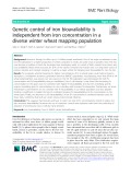 Genetic control of iron bioavailability is independent from iron concentration in a diverse winter wheat mapping population