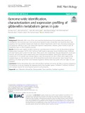Genome-wide identification, characterization and expression profiling of gibberellin metabolism genes in jute