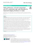 Stalk architecture, cell wall composition, and QTL underlying high stalk flexibility for improved lodging resistance in maize