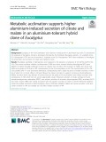 Metabolic acclimation supports higher aluminium-induced secretion of citrate and malate in an aluminium-tolerant hybrid clone of Eucalyptus