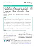 Serine hydroxymethyltransferase localised in the endoplasmic reticulum plays a role in scavenging H2O2 to enhance rice chilling tolerance